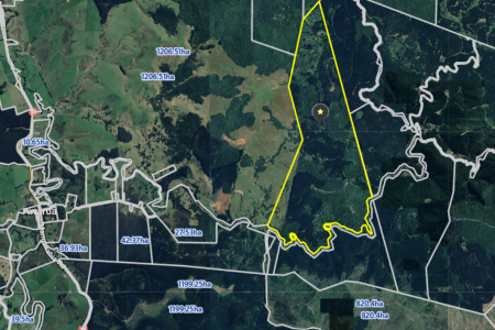 Awarua Piece of Paradise