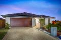 Investors Dream in Central Springs...