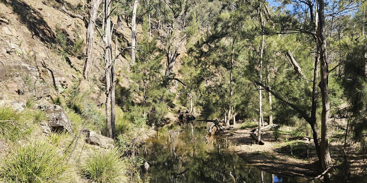 Capertee River frontage on large rural holding. Approx. 1038 acres