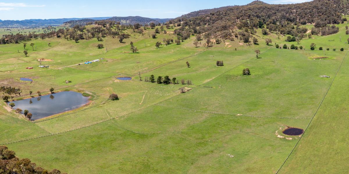Prime Agricultural Holding with Endless Potential