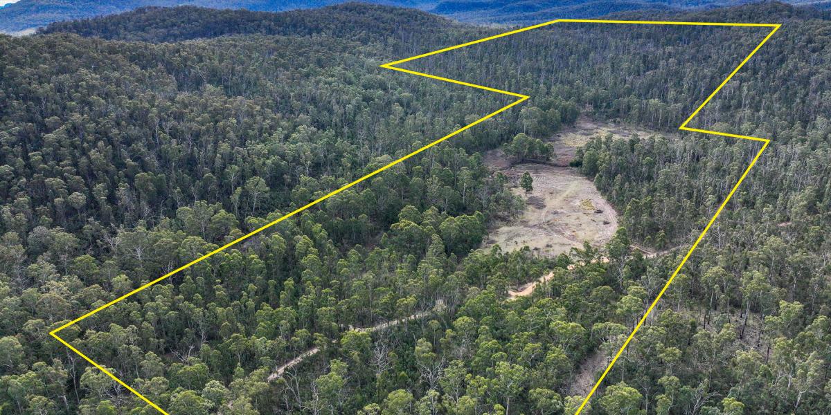 Lot 9 & 36 - Peaceful Rural Retreat – 100 Acres with Cudgegong River Frontage