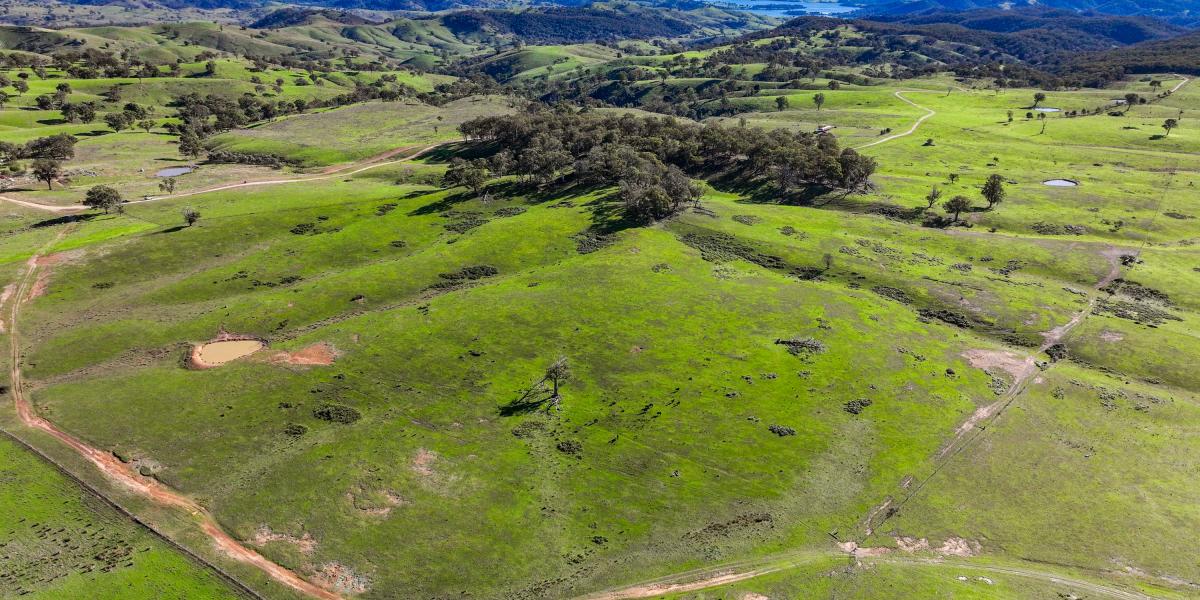 Rural Lifestyle Opportunity with Panoramic Country Views
