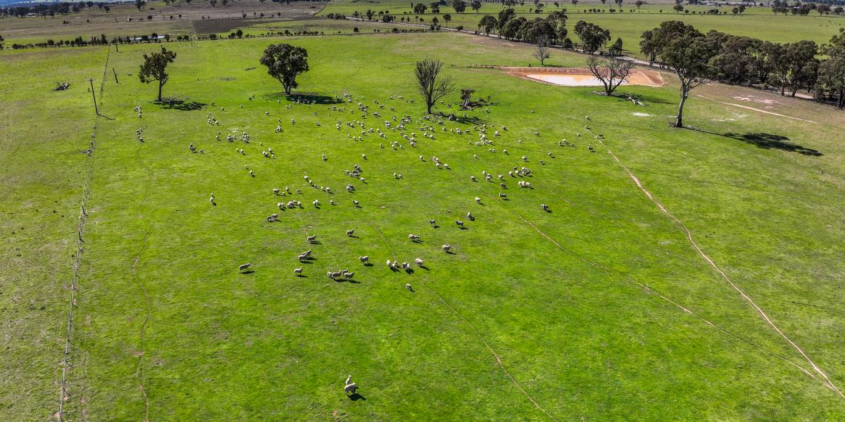 Productive Grazing Country with Dwelling Entitlement – Prime Rylstone Opportunity