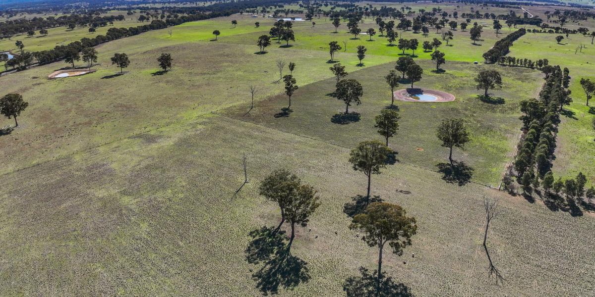 Quality Rylstone Grazing Holding