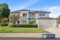 AMAZING SPACE AND FAMILY APPEAL