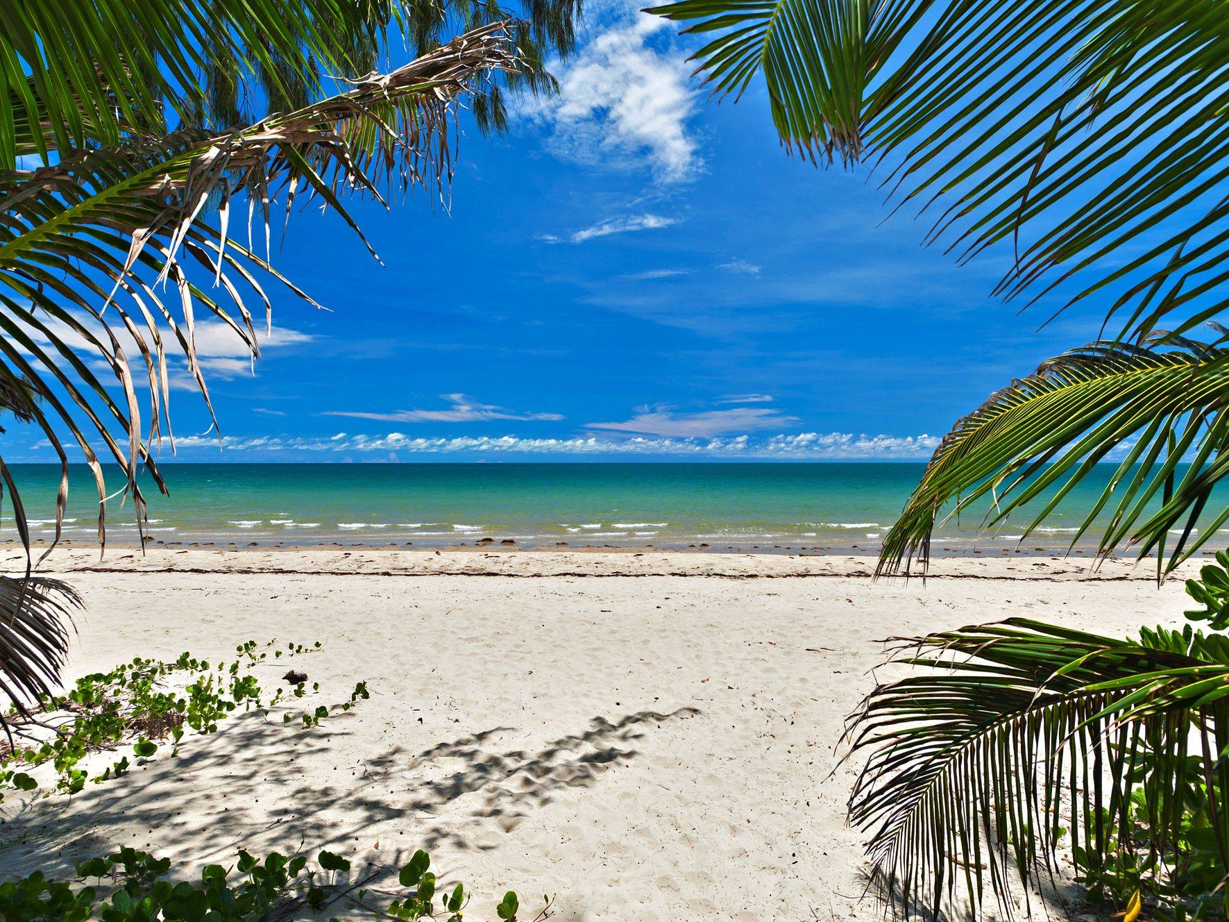 3 Andrews Close, Port Douglas SOLD by Tony McGrath Real Estate Port Douglas