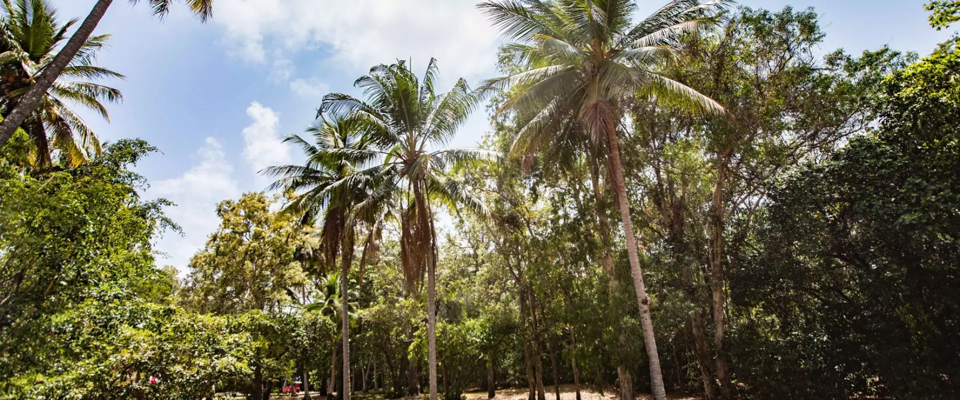 3 Andrews Close, Port Douglas SOLD by Tony McGrath Real Estate Port Douglas