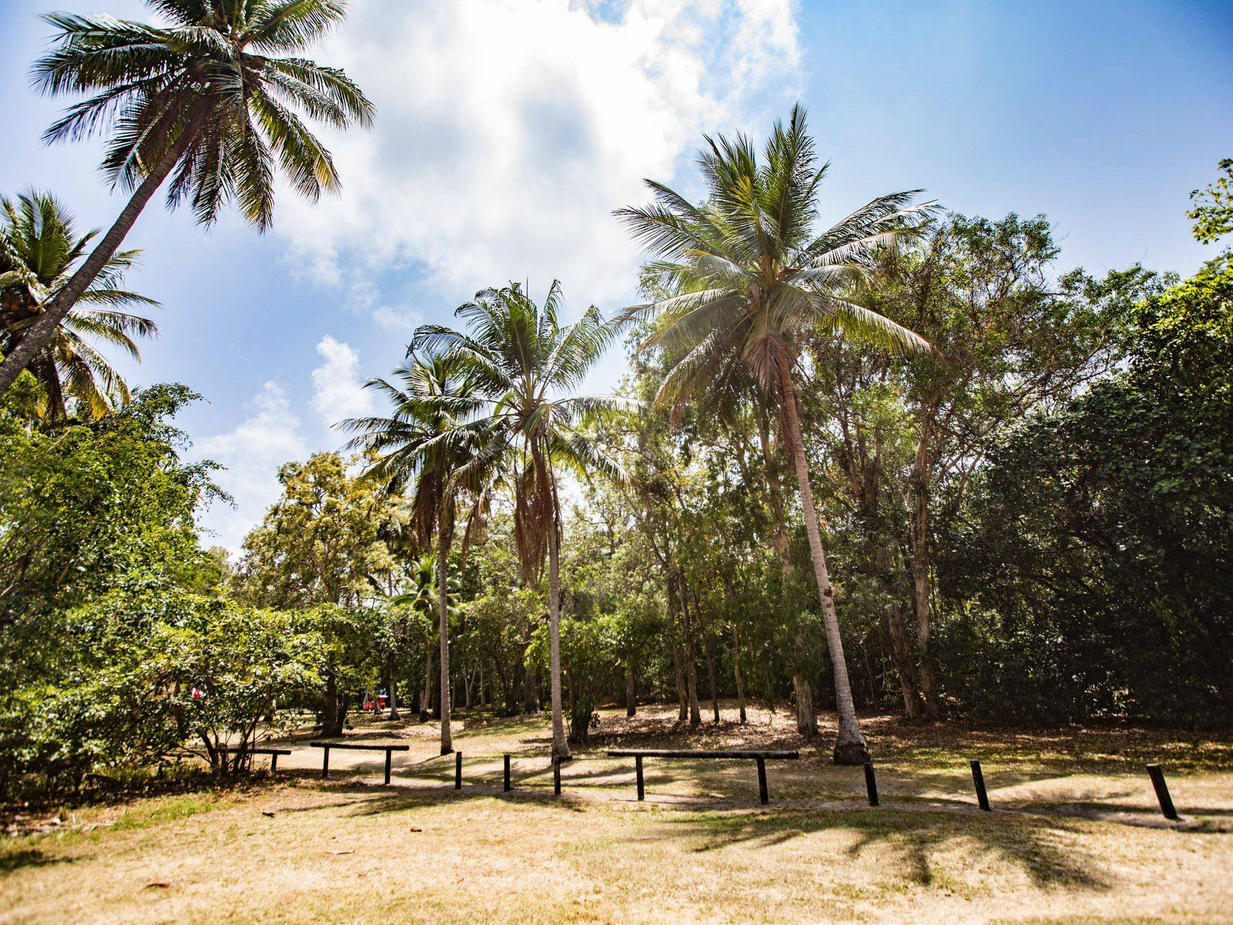 3 Andrews Close, Port Douglas SOLD by Tony McGrath Real Estate Port Douglas