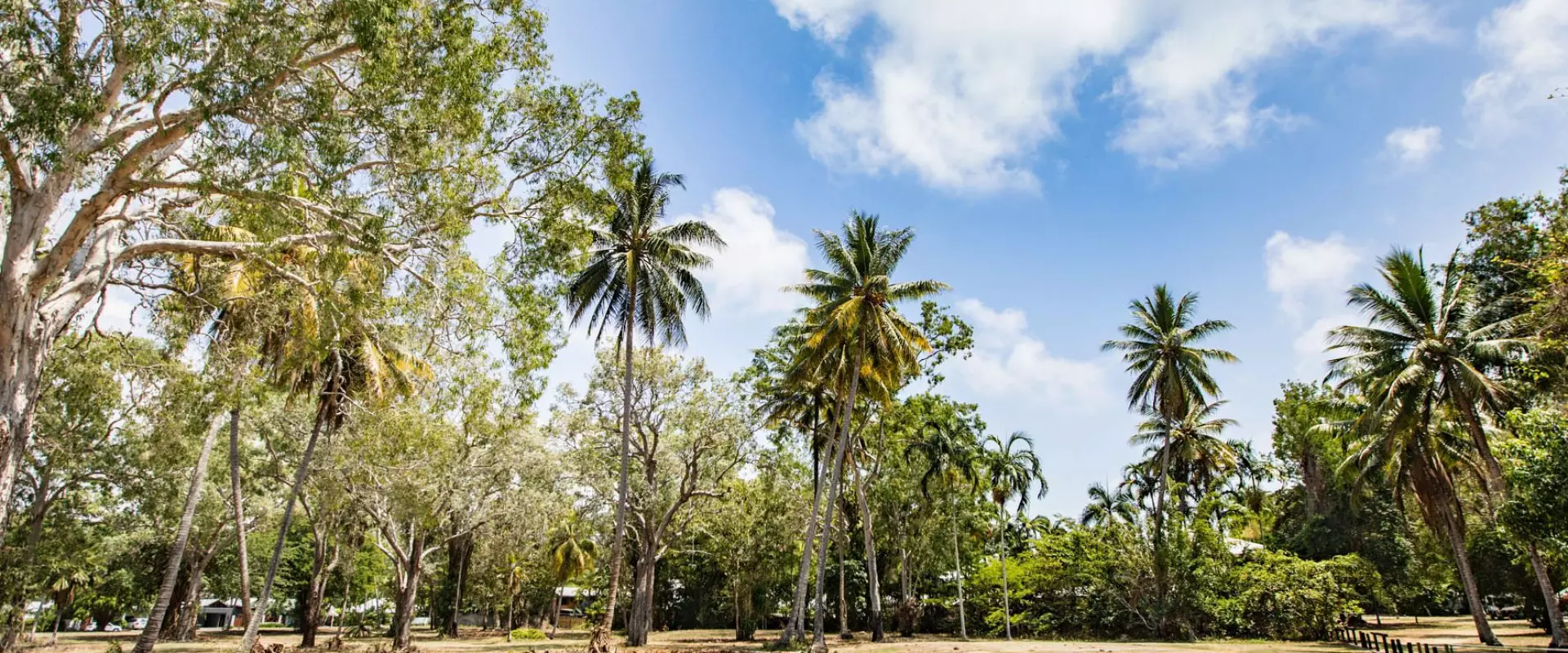 3 Andrews Close, Port Douglas SOLD by Tony McGrath Real Estate Port Douglas