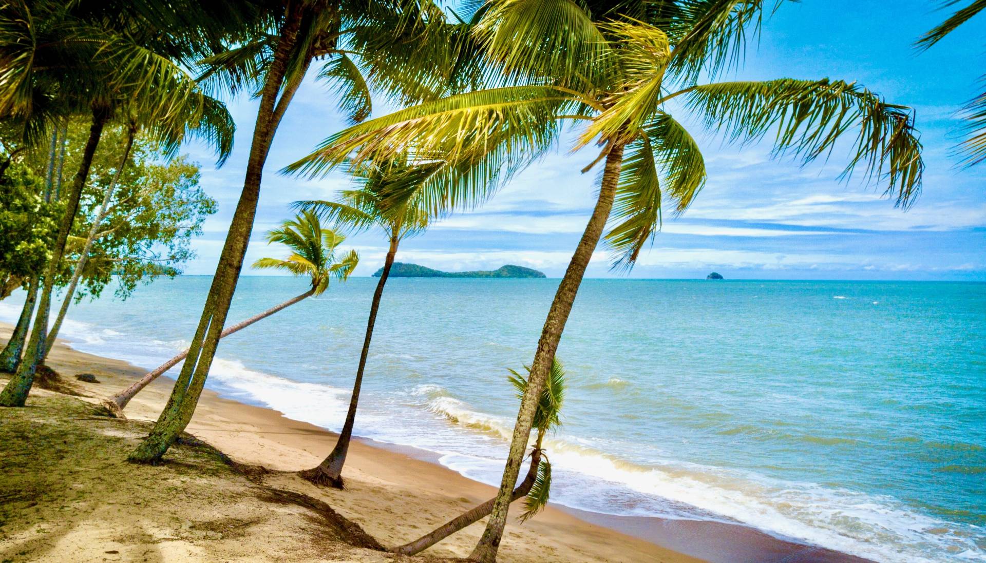 1,109 Upolu Esp, Palm Cove QLD Tony McGrath Real Estate