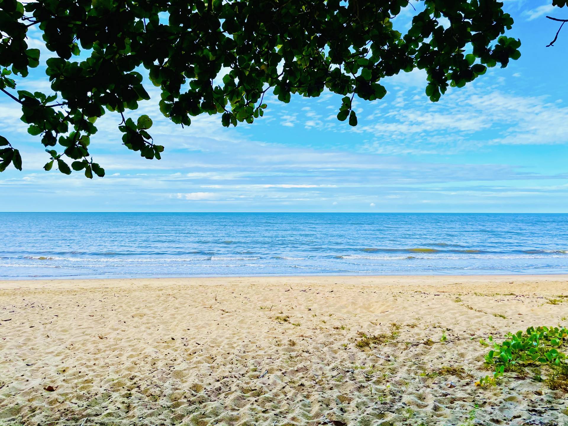 1,109 Upolu Esp, Palm Cove QLD Tony McGrath Real Estate