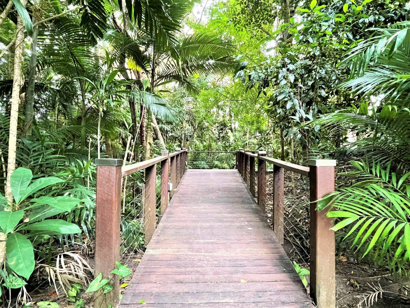 33 Beachfront Mirage, Port Douglas SOLD by Tony McGrath Port Douglas