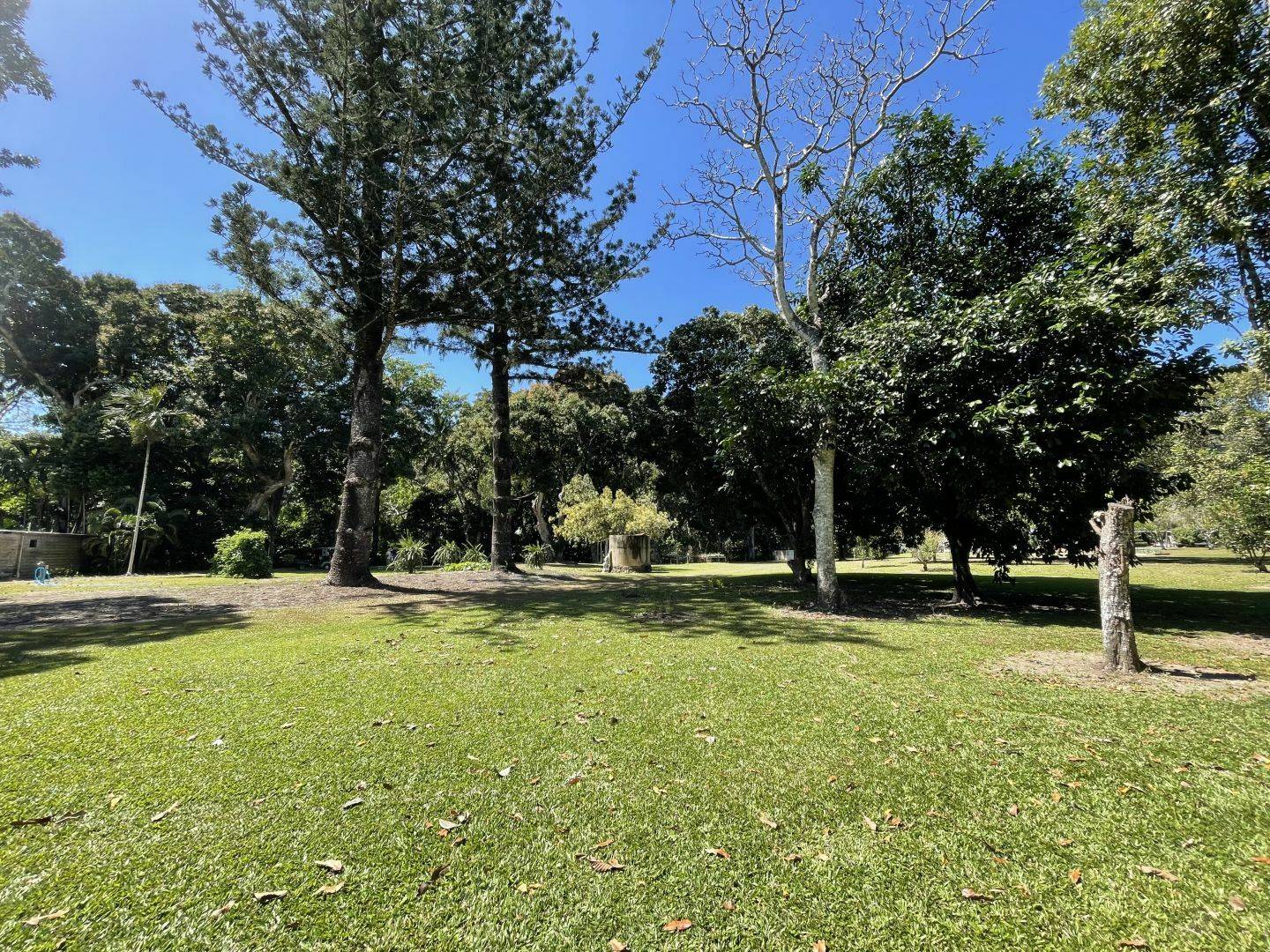 99 Spring Creek Road, Mowbray Valley SOLD by Tony McGrath Real Estate