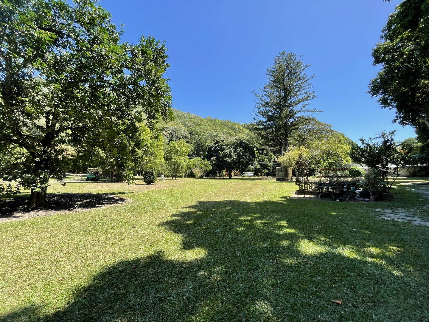 99 Spring Creek Road, Mowbray Valley SOLD by Tony McGrath Real Estate