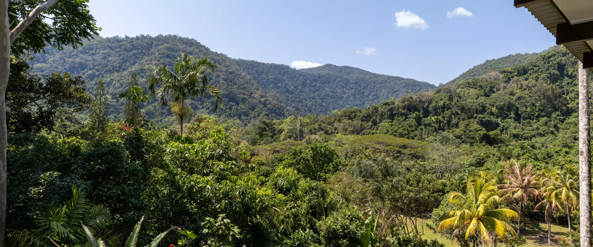 42 Grays Creek Terrace, Mowbray Valley near Port Douglas