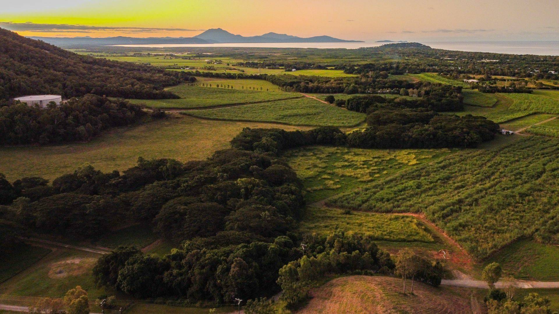 Vacant land for sale near Port Douglas with Tony McGrath Real Estate Port Douglas