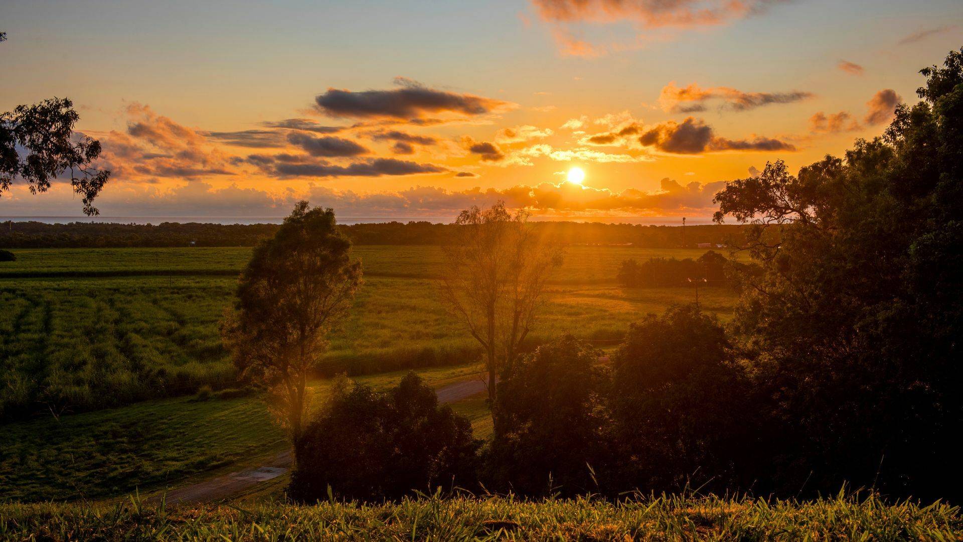 Vacant land for sale near Port Douglas with Tony McGrath Real Estate Port Douglas