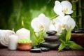 Gold Coast Beauty Salon Business For Sale $500,000! Sale price is inclusive of all equipment and stock in a walk-in & walk-out basis.