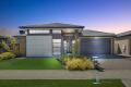 Stunning Spaces. A Modern Masterpiece!