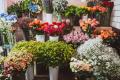 Thriving Florist & Gift Shop Near Berwick – $15,000 Weekly Takings!