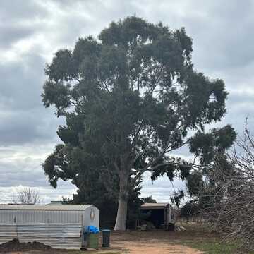 Debra testimonial image