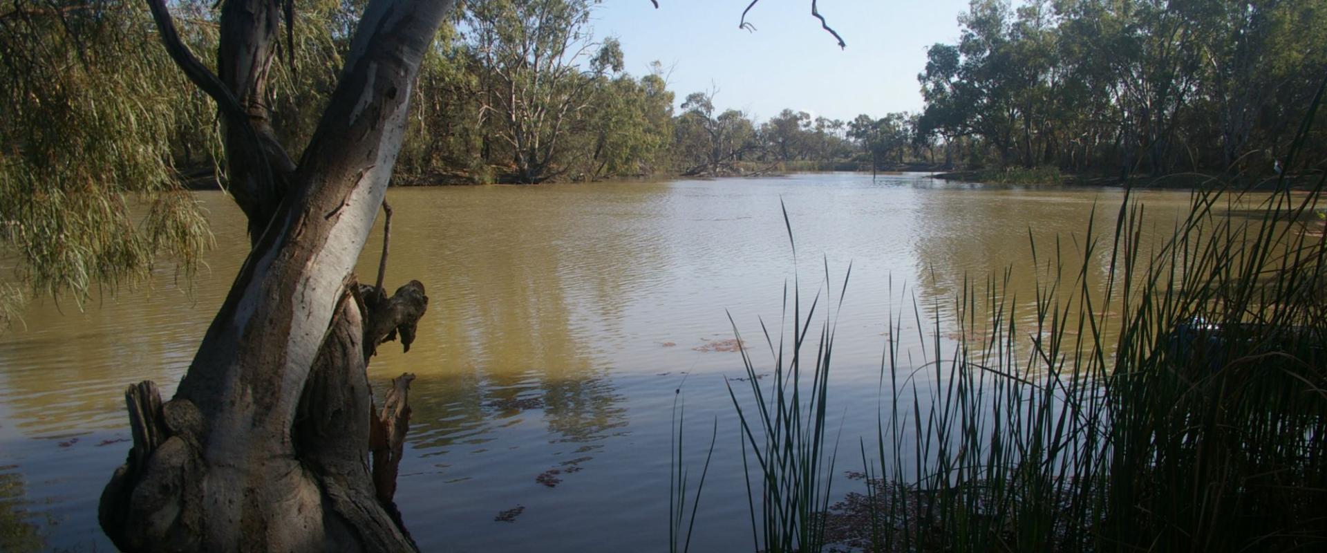 Historic Kulnine Station Mildura & District Real Estate