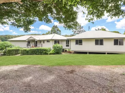 Sheridan B testimonial image