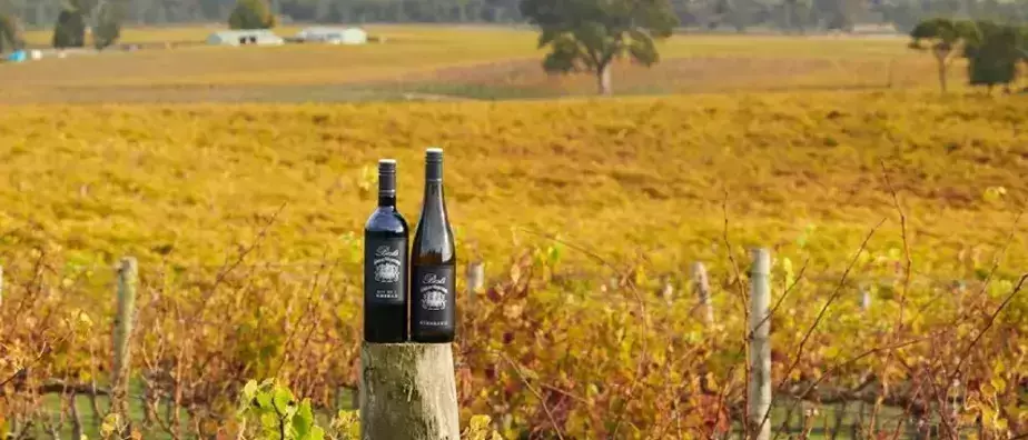 World Class Wineries