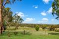 Panoramic on Panrock