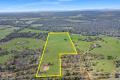 Prime 35 Acre Lifestyle Opportunity