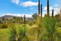 6.1 Acres (Approx.) in Pomonal – Build Your Dream Home