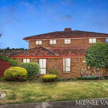 Daniel B testimonial image