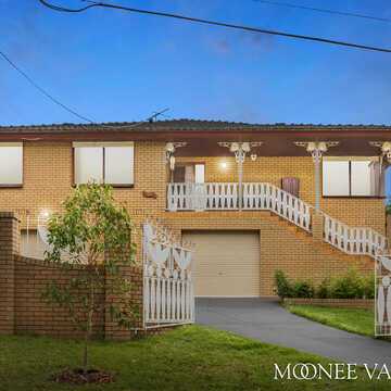 Antonio v testimonial image