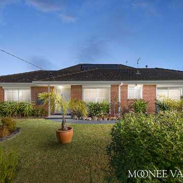 Vinny P testimonial image