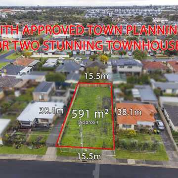 Zoran T testimonial image