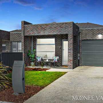 Frank R testimonial image