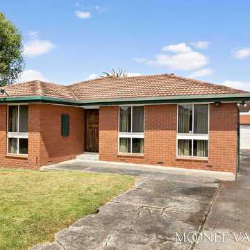 Elias E testimonial image