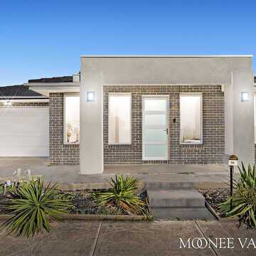 JOSH C testimonial image