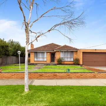 Adem D testimonial image