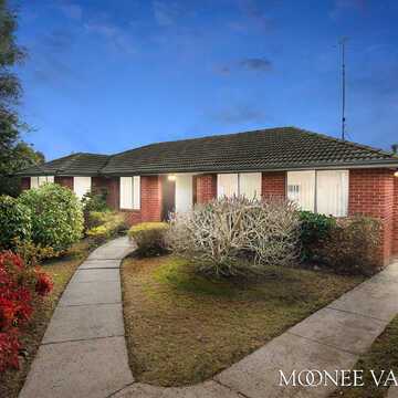 Laura and Josh M testimonial image