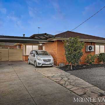 Stef L testimonial image