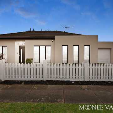 Chi P testimonial image