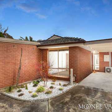 Vince R testimonial image