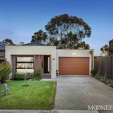 Luciano A testimonial image