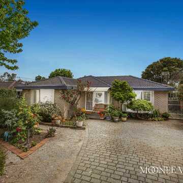 Nhat N testimonial image