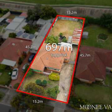 Nelson S testimonial image