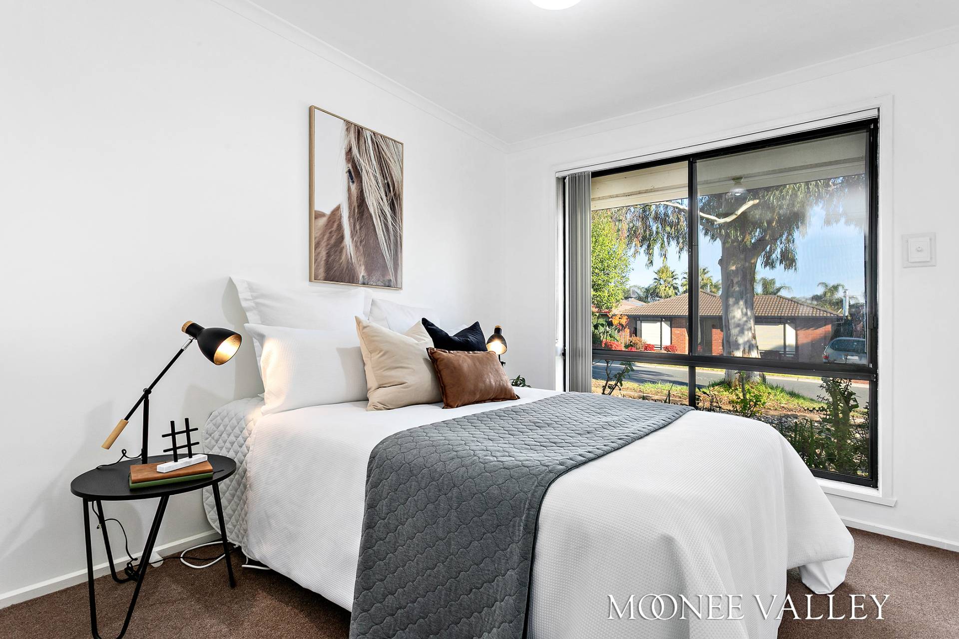1, 75 Delbridge Drive, Sydenham - Thumbnail 6