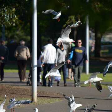 Andrew & DiAnne - Keilor Park testimonial image
