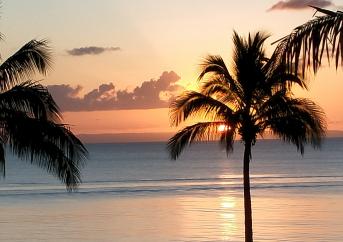Surfers Paradise