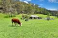 Picturesque 50 Acre Hobby Farm In The Wollombi Valley